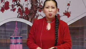河南坠子视频下载打包191-220