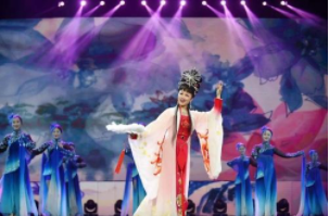 庐剧视频下载打包176-204