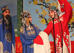 豫剧视频下载打包174-192